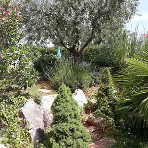 https://kuca-ana-marija-apartments.in-istria.net